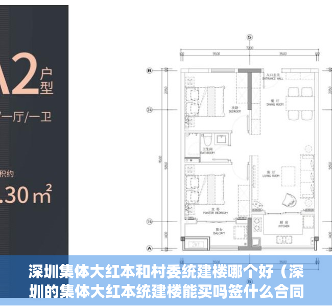 深圳集体大红本和村委统建楼哪个好（深圳的集体大红本统建楼能买吗签什么合同）