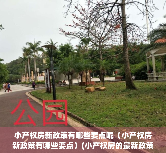 小产权房新政策有哪些要点呢（小产权房新政策有哪些要点）(小产权房的最新政策)