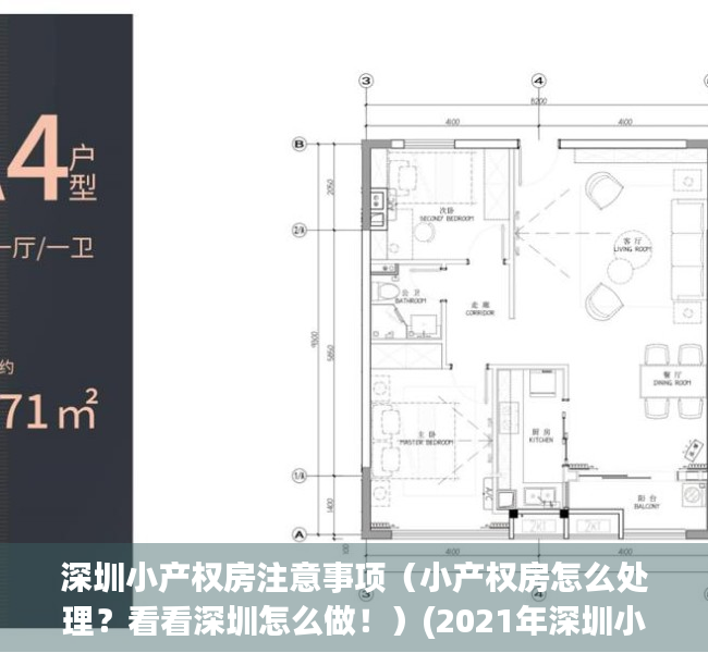 深圳小产权房注意事项（小产权房怎么处理？看看深圳怎么做！）(2021年深圳小产权房怎么处理)