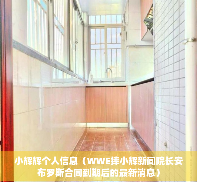 小辉辉个人信息（WWE摔小辉新闻院长安布罗斯合同到期后的最新消息）