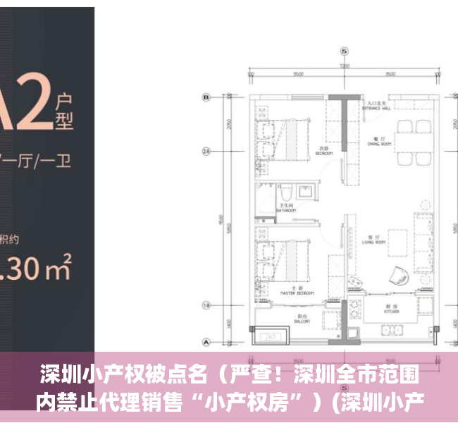 深圳小产权被点名（严查！深圳全市范围内禁止代理销售“小产权房”）(深圳小产权受法律保护吗)