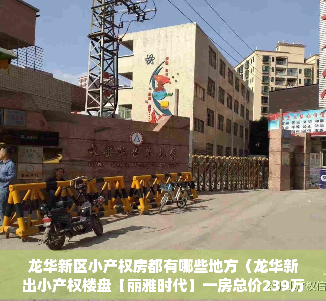 龙华新区小产权房都有哪些地方（龙华新出小产权楼盘【丽雅时代】一房总价239万起，可零首付，最长可分期十年）