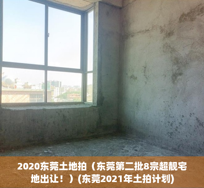 2020东莞土地拍（东莞第二批8宗超靓宅地出让！）(东莞2021年土拍计划)