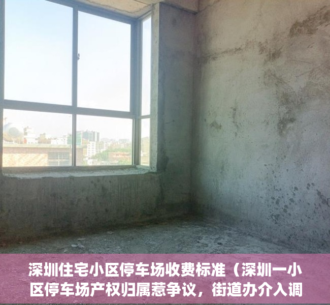 深圳住宅小区停车场收费标准（深圳一小区停车场产权归属惹争议，街道办介入调解）