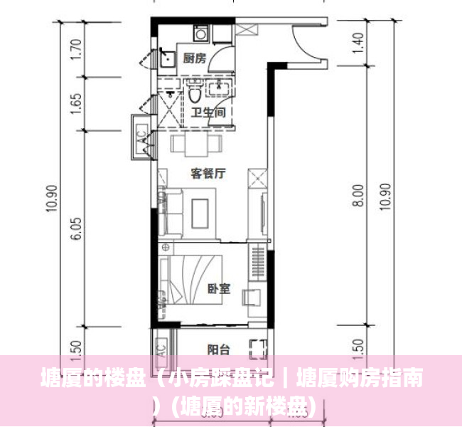 塘厦的楼盘（小房踩盘记｜塘厦购房指南）(塘厦的新楼盘)