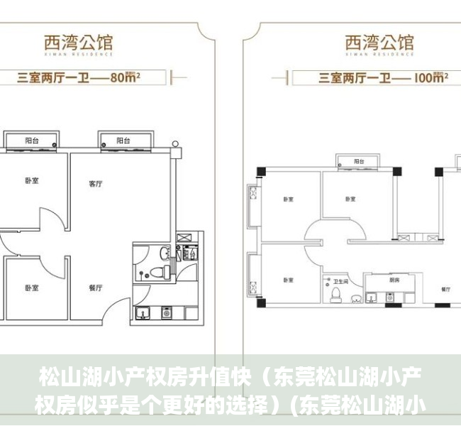 松山湖小产权房升值快（东莞松山湖小产权房似乎是个更好的选择）(东莞松山湖小产权房有哪些)