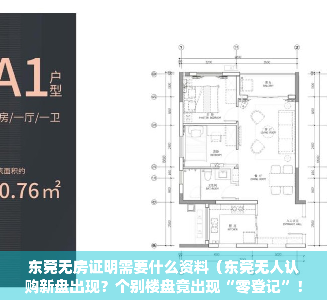 东莞无房证明需要什么资料（东莞无人认购新盘出现？个别楼盘竟出现“零登记”！）