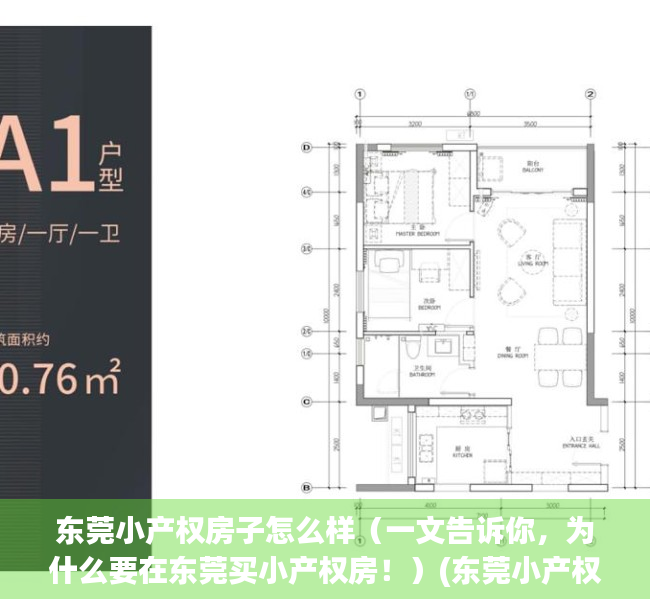 东莞小产权房子怎么样（一文告诉你，为什么要在东莞买小产权房！）(东莞小产权房现在怎么样了)