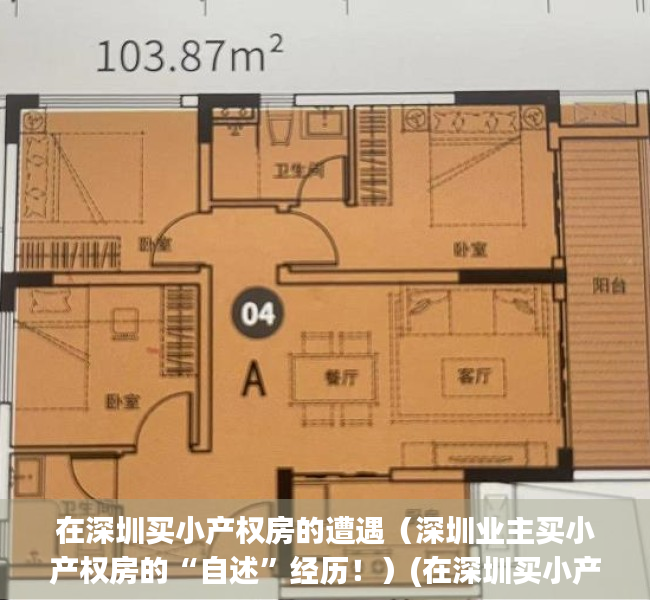 在深圳买小产权房的遭遇（深圳业主买小产权房的“自述”经历！）(在深圳买小产权房怎么样)