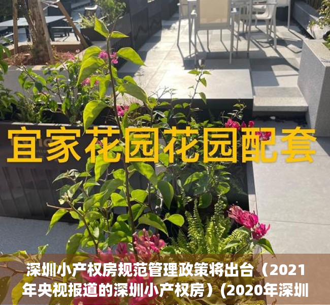 深圳小产权房规范管理政策将出台（2021年央视报道的深圳小产权房）(2020年深圳小产权房的最新政策)