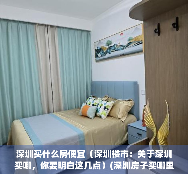 深圳买什么房便宜（深圳楼市：关于深圳买哪，你要明白这几点）(深圳房子买哪里)