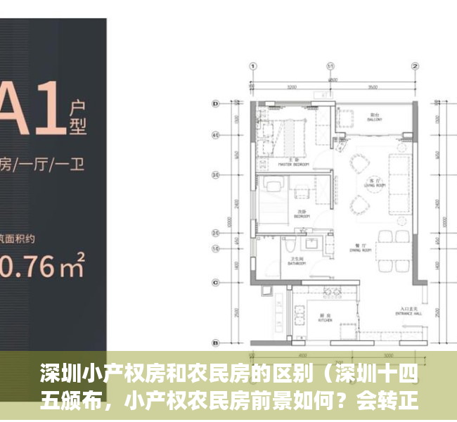 深圳小产权房和农民房的区别（深圳十四五颁布，小产权农民房前景如何？会转正还是会强制征收？）