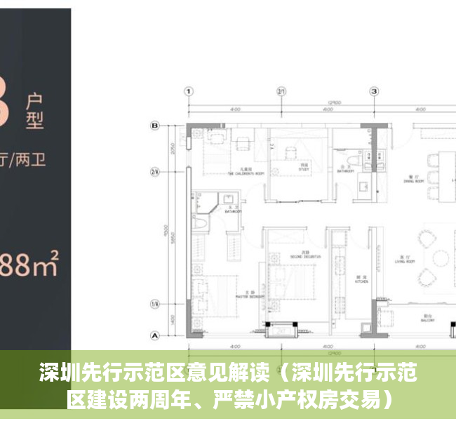 深圳先行示范区意见解读（深圳先行示范区建设两周年、严禁小产权房交易）