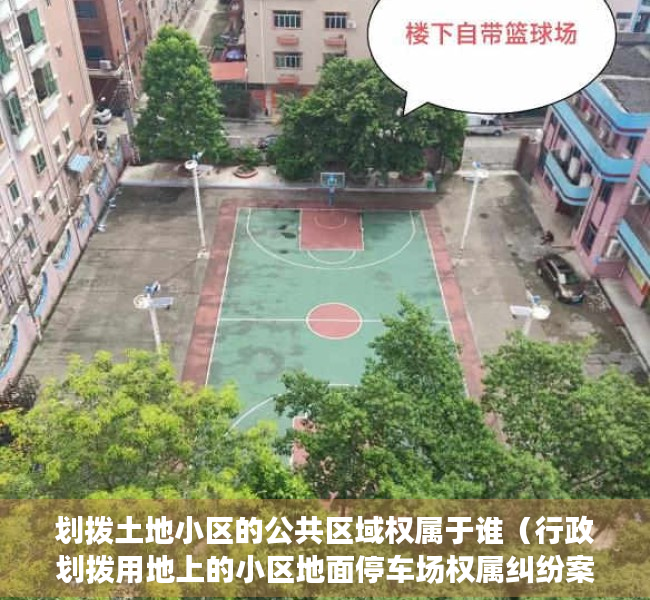 划拨土地小区的公共区域权属于谁（行政划拨用地上的小区地面停车场权属纠纷案例解析——《物业管理纠纷的裁判规则与实务总结》系列（1））