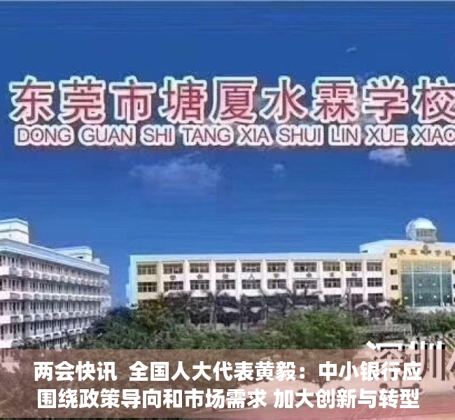 两会快讯  全国人大代表黄毅：中小银行应围绕政策导向和市场需求 加大创新与转型力度