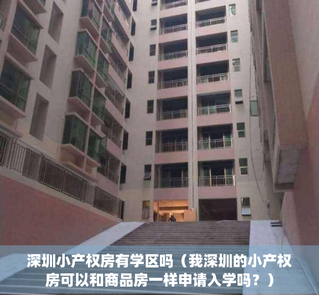 深圳小产权房有学区吗（我深圳的小产权房可以和商品房一样申请入学吗？）