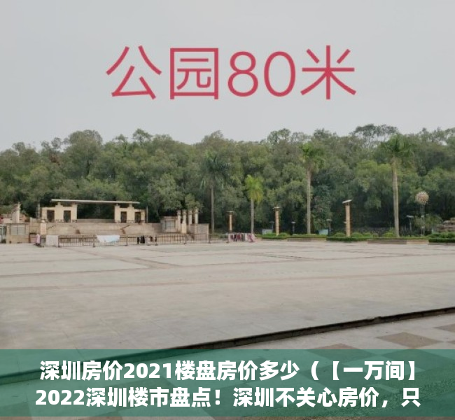 深圳房价2021楼盘房价多少（【一万间】2022深圳楼市盘点！深圳不关心房价，只想“先行先试”房地产改革）