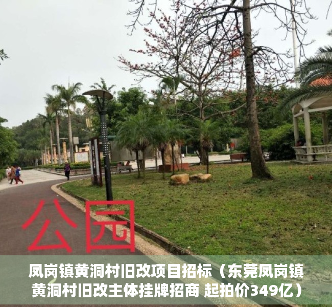 凤岗镇黄洞村旧改项目招标（东莞凤岗镇黄洞村旧改主体挂牌招商 起拍价349亿）