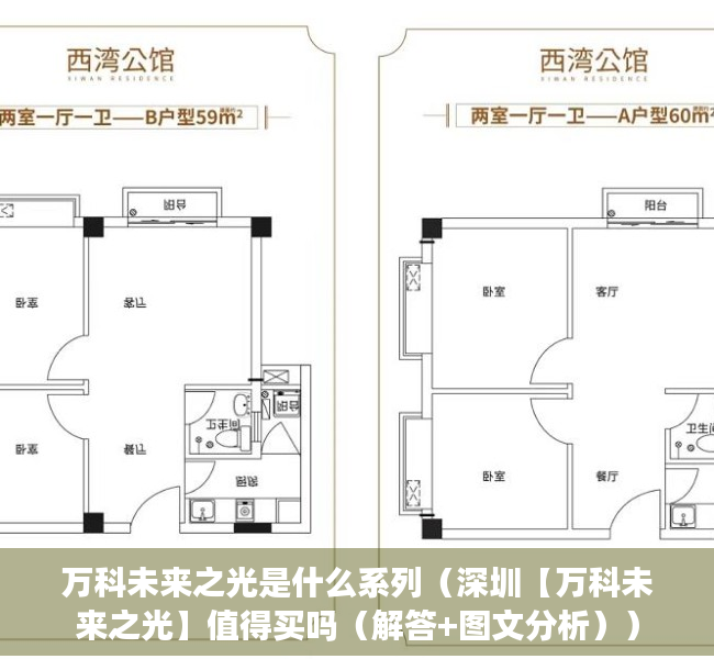 万科未来之光是什么系列（深圳【万科未来之光】值得买吗（解答+图文分析））