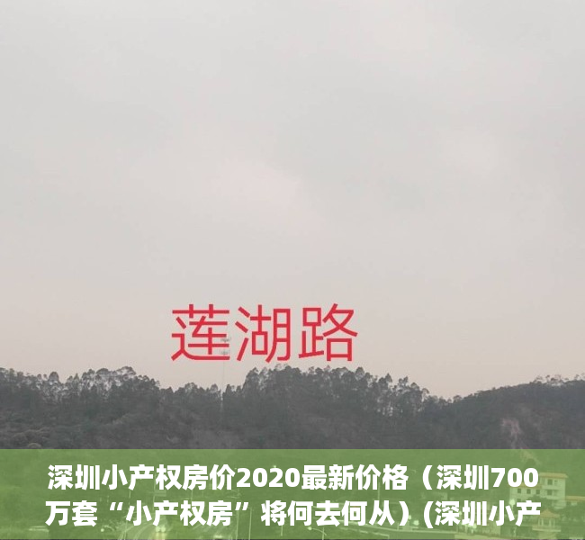 深圳小产权房价2020最新价格（深圳700万套“小产权房”将何去何从）(深圳小产权房最新政策2021房价)