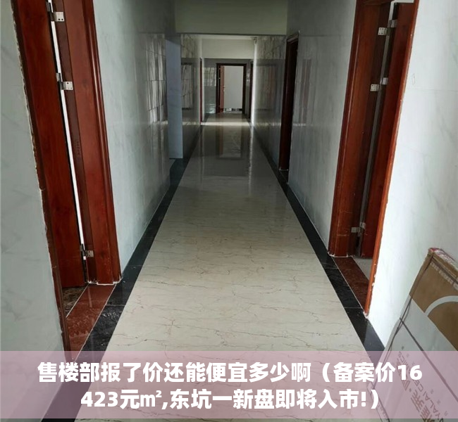 售楼部报了价还能便宜多少啊（备案价16423元㎡,东坑一新盘即将入市!）