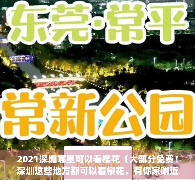 2021深圳哪里可以看樱花（大部分免费！深圳这些地方都可以看樱花，有你家附近的吗？）