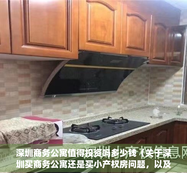 深圳商务公寓值得投资吗多少钱（关于深圳买商务公寓还是买小产权房问题，以及小产权那种比较好，能否过户的探讨。）