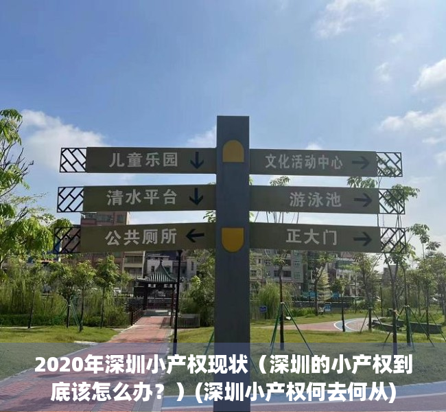 2020年深圳小产权现状（深圳的小产权到底该怎么办？）(深圳小产权何去何从)