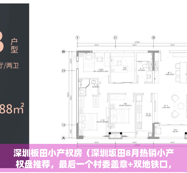 深圳板田小产权房（深圳坂田8月热销小产权盘推荐，最后一个村委盖章+双地铁口，豪华两房仅598万）