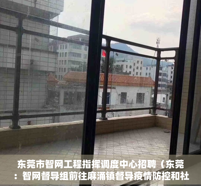 东莞市智网工程指挥调度中心招聘（东莞：智网督导组前往麻涌镇督导疫情防控和社会稳定等相关工作）