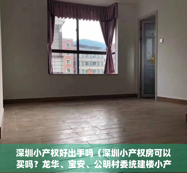 深圳小产权好出手吗（深圳小产权房可以买吗？龙华、宝安、公明村委统建楼小产权房可入手吗？）