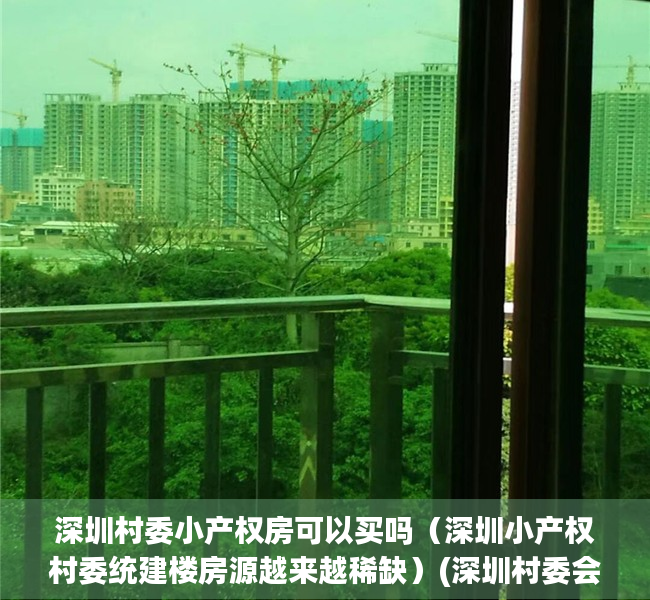 深圳村委小产权房可以买吗（深圳小产权村委统建楼房源越来越稀缺）(深圳村委会小产权房可以买吗)