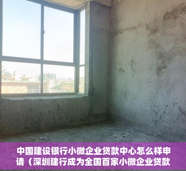 中国建设银行小微企业贷款中心怎么样申请（深圳建行成为全国首家小微企业贷款超3000亿元的分行）