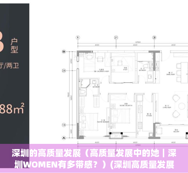 深圳的高质量发展（高质量发展中的她｜深圳WOMEN有多带感？）(深圳高质量发展高地)