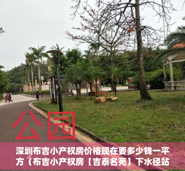 深圳布吉小产权房价格现在要多少钱一平方（布吉小产权房【吉泰名苑】下水径站300米、通燃气、可落户、位置绝佳）