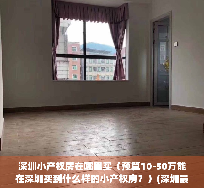 深圳小产权房在哪里买（预算10-50万能在深圳买到什么样的小产权房？）(深圳最值得买的小产权房)