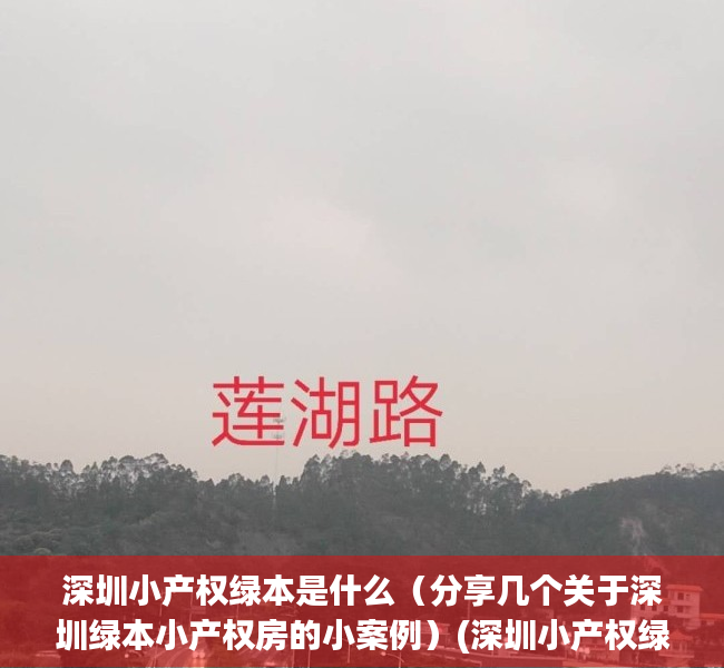 深圳小产权绿本是什么（分享几个关于深圳绿本小产权房的小案例）(深圳小产权绿本有用吗)