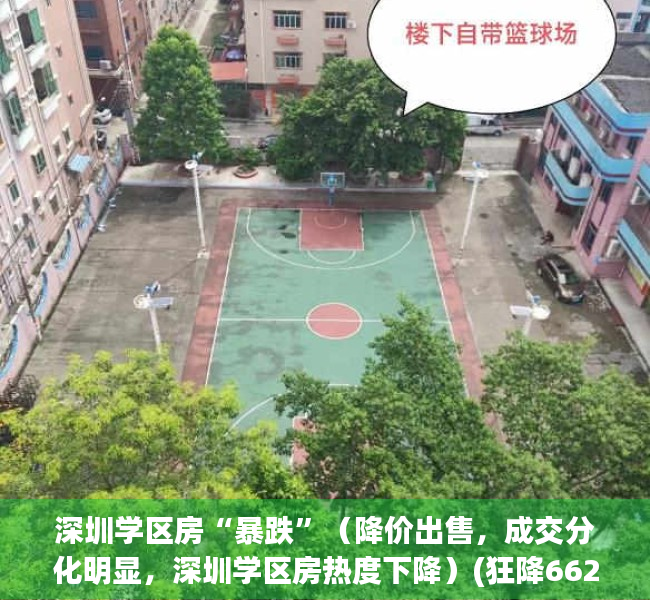 深圳学区房“暴跌”（降价出售，成交分化明显，深圳学区房热度下降）(狂降662万元!深圳学区房价格大跳水)