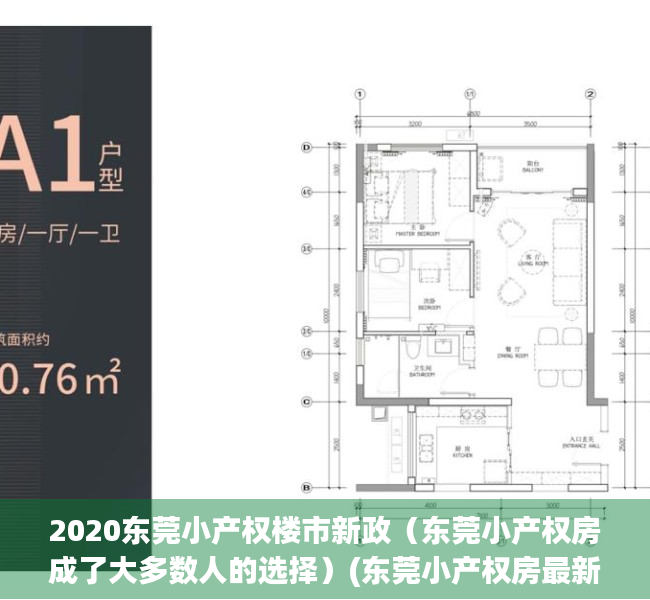 2020东莞小产权楼市新政（东莞小产权房成了大多数人的选择）(东莞小产权房最新政策2021年)