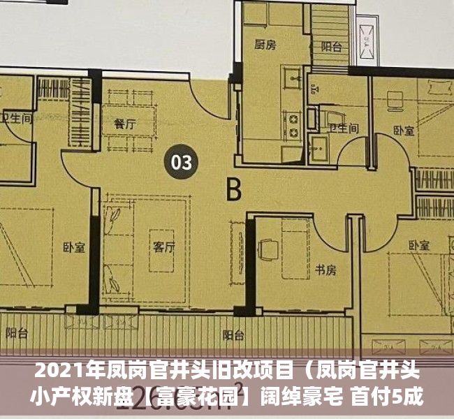 2021年凤岗官井头旧改项目（凤岗官井头小产权新盘【富豪花园】阔绰豪宅 首付5成 分期3年）