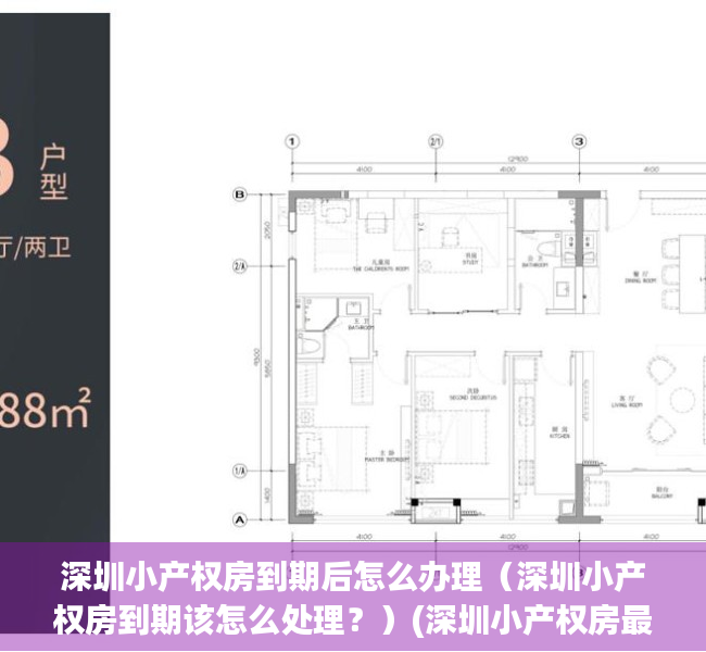 深圳小产权房到期后怎么办理（深圳小产权房到期该怎么处理？）(深圳小产权房最后会如何处理)