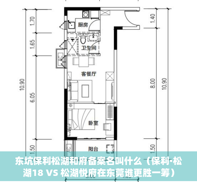 东坑保利松湖和府备案名叫什么（保利·松湖18 VS 松湖悦府在东莞谁更胜一筹）