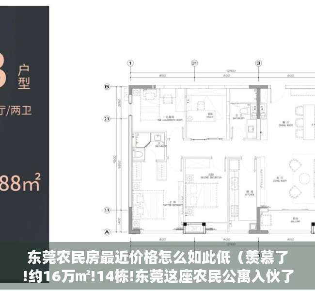 东莞农民房最近价格怎么如此低（羡慕了!约16万㎡!14栋!东莞这座农民公寓入伙了!）