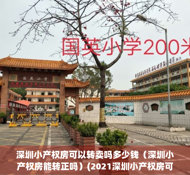 深圳小产权房可以转卖吗多少钱（深圳小产权房能转正吗）(2021深圳小产权房可以过户吗)