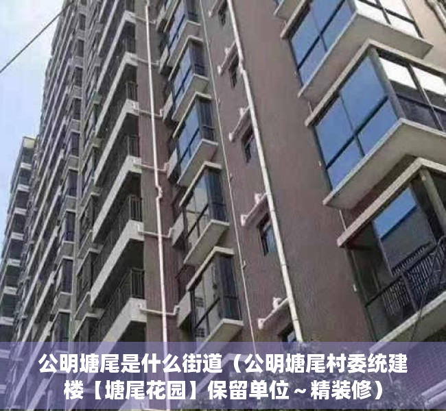 公明塘尾是什么街道（公明塘尾村委统建楼【塘尾花园】保留单位～精装修）