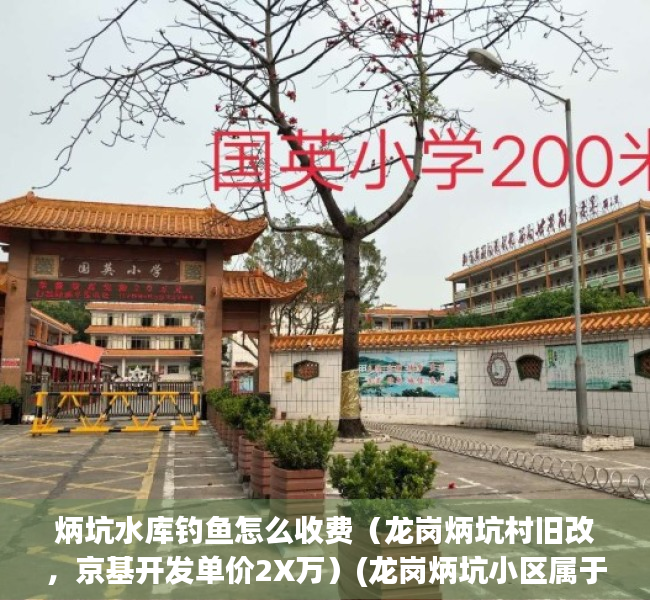 炳坑水库钓鱼怎么收费（龙岗炳坑村旧改，京基开发单价2X万）(龙岗炳坑小区属于哪个街道)