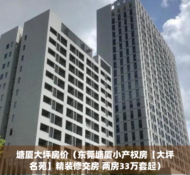 塘厦大坪房价（东莞塘厦小产权房【大坪名苑】精装修交房 两房33万套起）