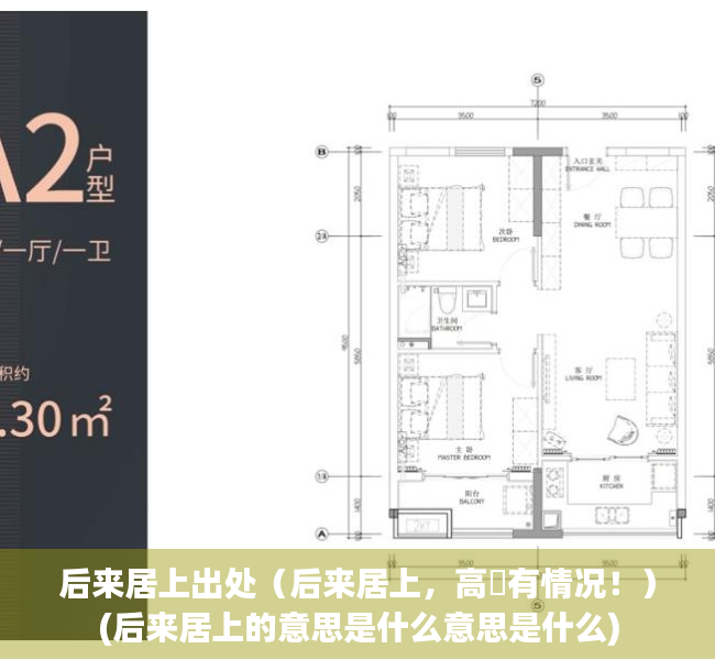 后来居上出处（后来居上，高埗有情况！）(后来居上的意思是什么意思是什么)