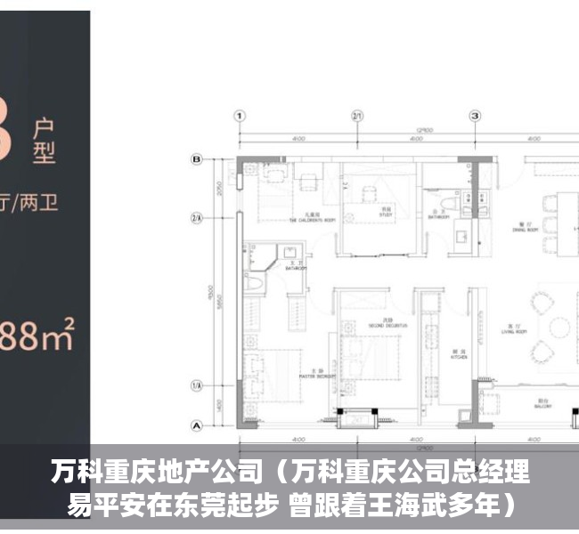 万科重庆地产公司（万科重庆公司总经理易平安在东莞起步 曾跟着王海武多年）