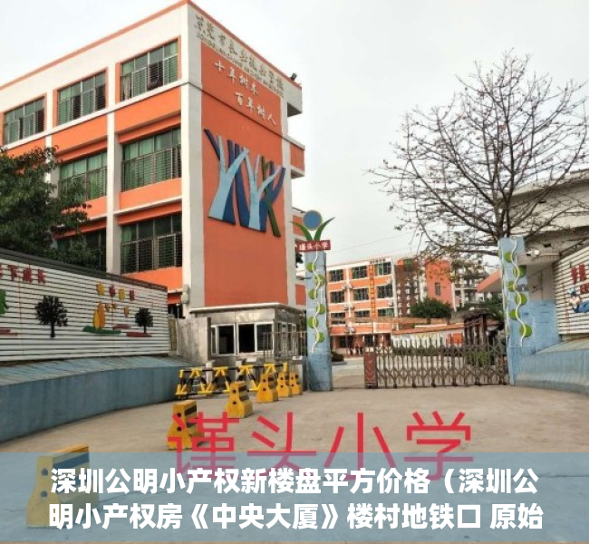 深圳公明小产权新楼盘平方价格（深圳公明小产权房《中央大厦》楼村地铁口 原始大户型 698万起）